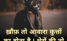 Best Meena Status ke Attitude In Hindi 2021 - Latest Hindi Status, Whatsapp  Shayari in Hindi, Sad, Quotes 2021